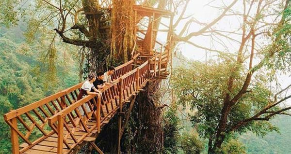 tempat wisata di bogor - Rumah Pohon dan Jembatan Gantung