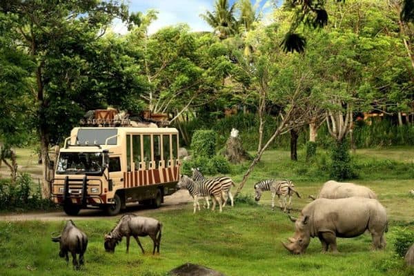 Taman Safari