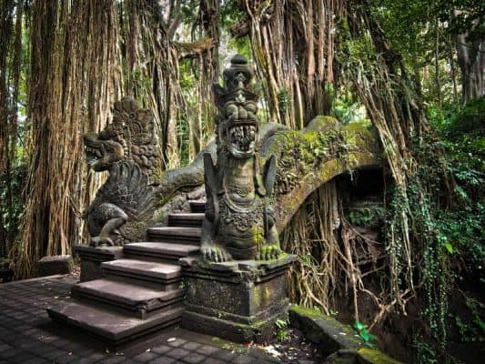 tempat wisata di bali - Monkey Forest Ubud