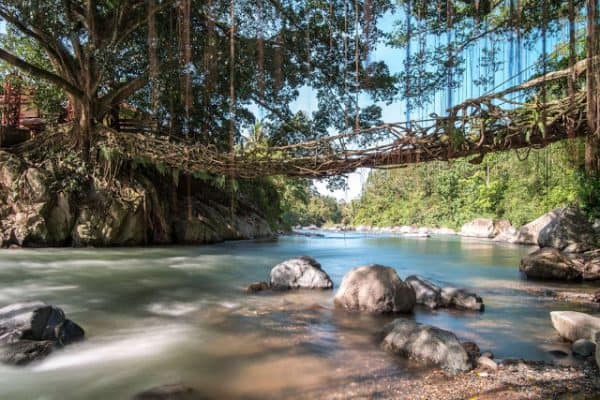 tempat wisata di padang - Jembatan Akar Bayang