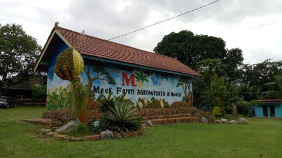 tempat wisata di banjarmasin - Agrowisata Kebun Durian