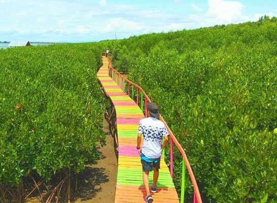 Ekowisata Mangrove Lantebung